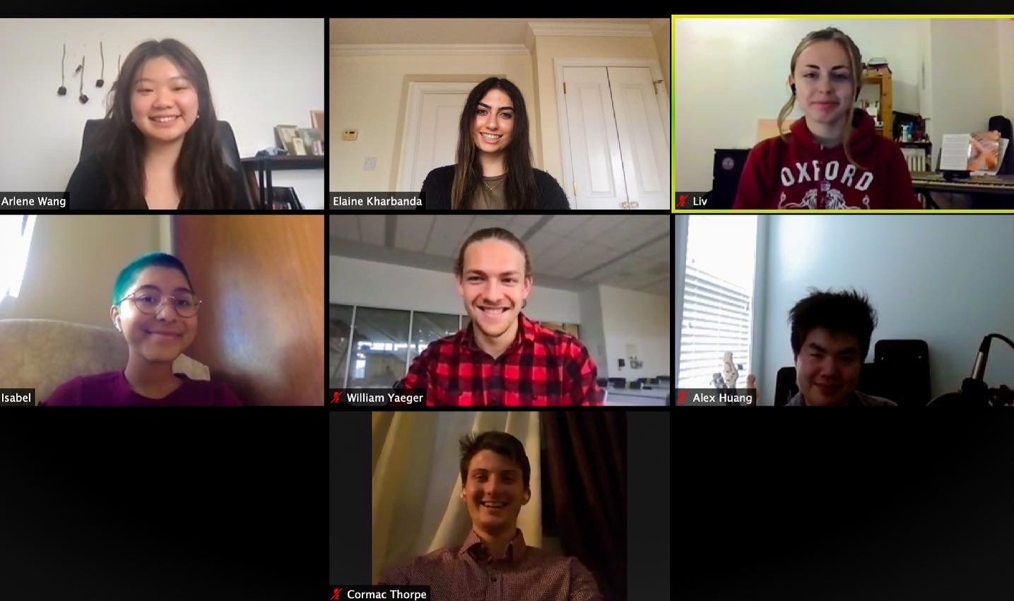 Screenshot of Gapyearly staff members on a zoom meeting